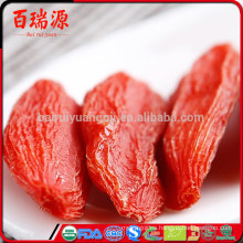 Nutritiva bayas de goji bayas de goji a granel Goji bayas